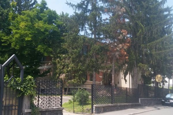 vila-lui-ceausescu-22EDF3C2D-C881-E9D2-04DA-833EFA40C808.jpg