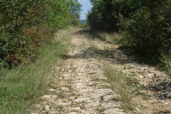 drumul-roman-geoagiu-386061CF626-4F21-245A-97FA-AEE4E5D6A39D.png